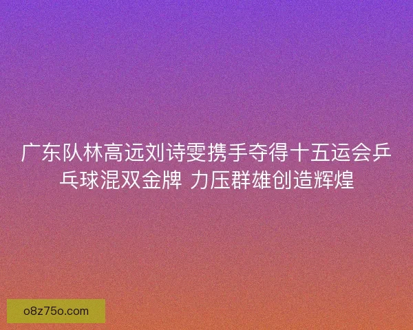 广东队林高远刘诗雯携手夺得十五运会乒乓球混双金牌 力压群雄创造辉煌